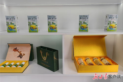 質量溯源 讓渭源道地中藥材“身份”明明白白